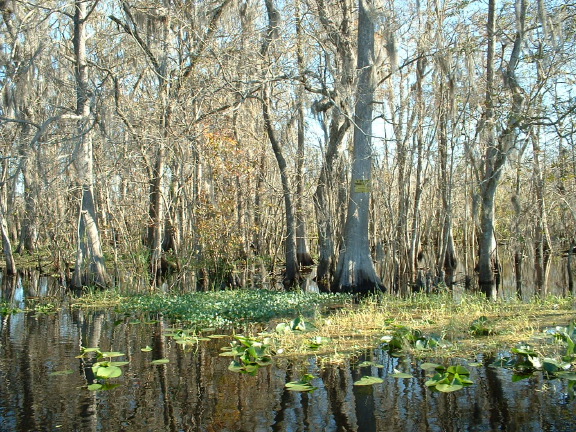 dscf0588.jpg