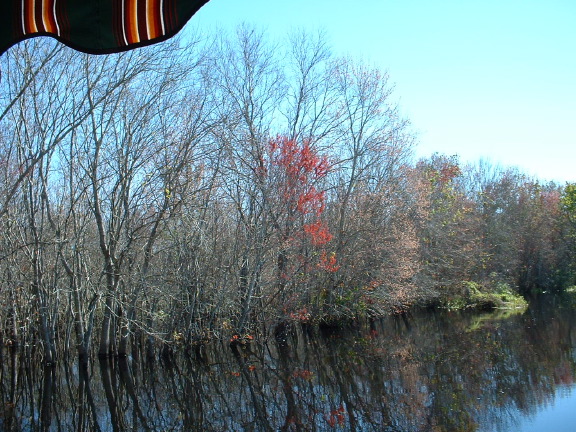 dscf0594.jpg