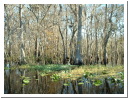 DSCF0588.JPG