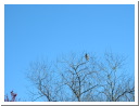 DSCF0589.JPG