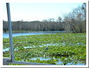 DSCF0591.JPG
