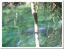 DSCF0604.JPG