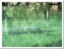 DSCF0607.JPG