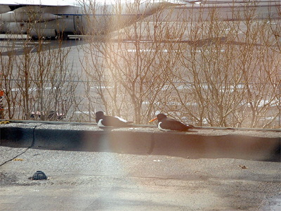 dscf0349.jpg
