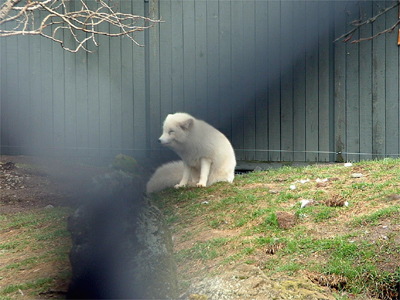 dscf0384.jpg