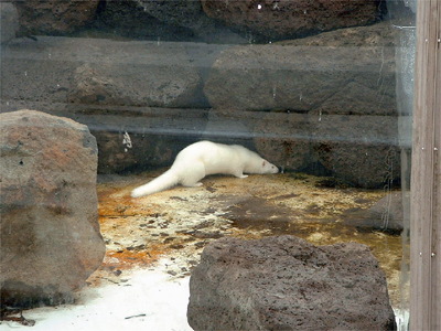 dscf0393.jpg